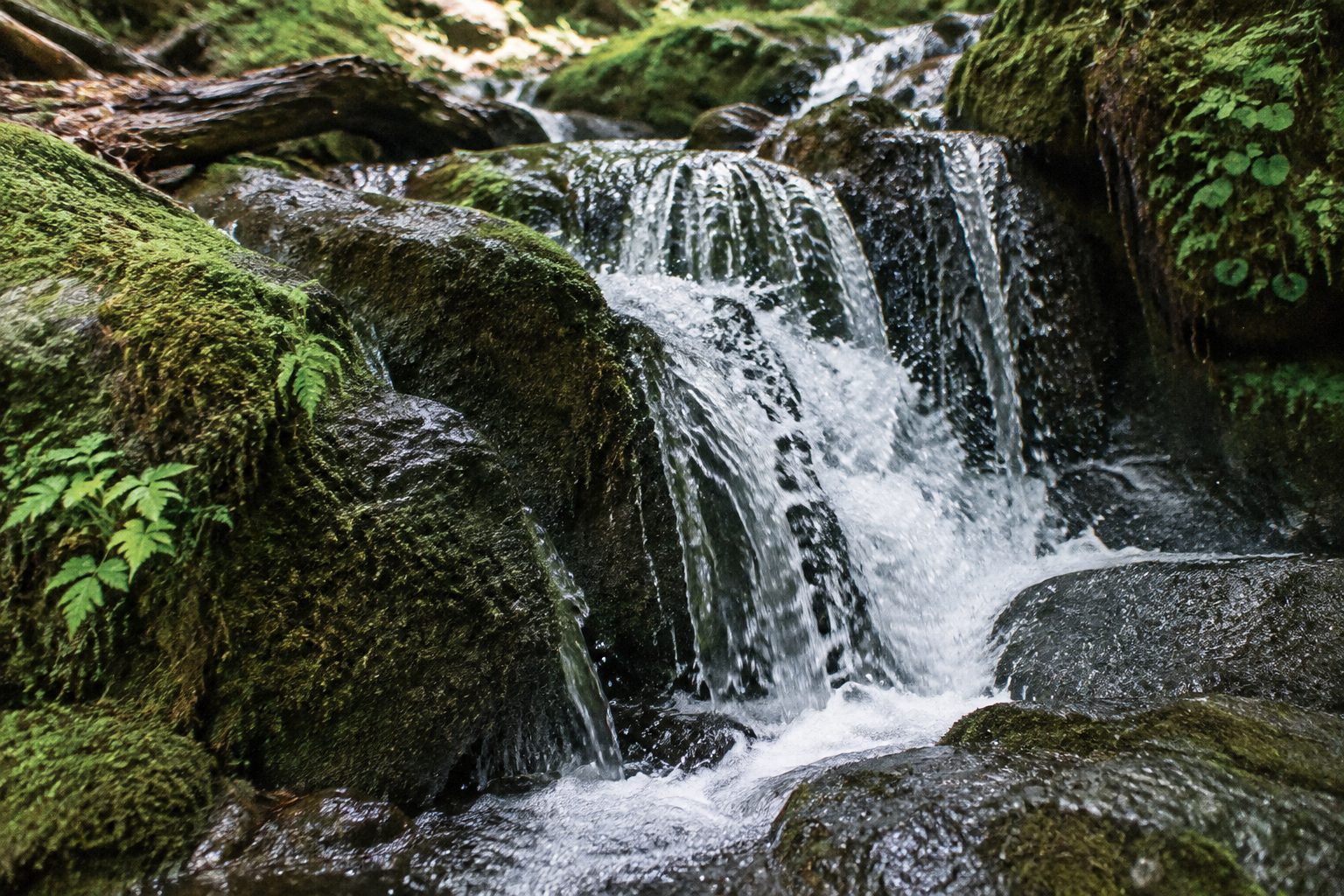 Cascade de Groissiat