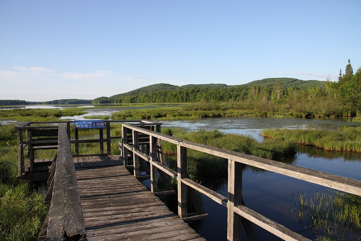 Marais du Nord