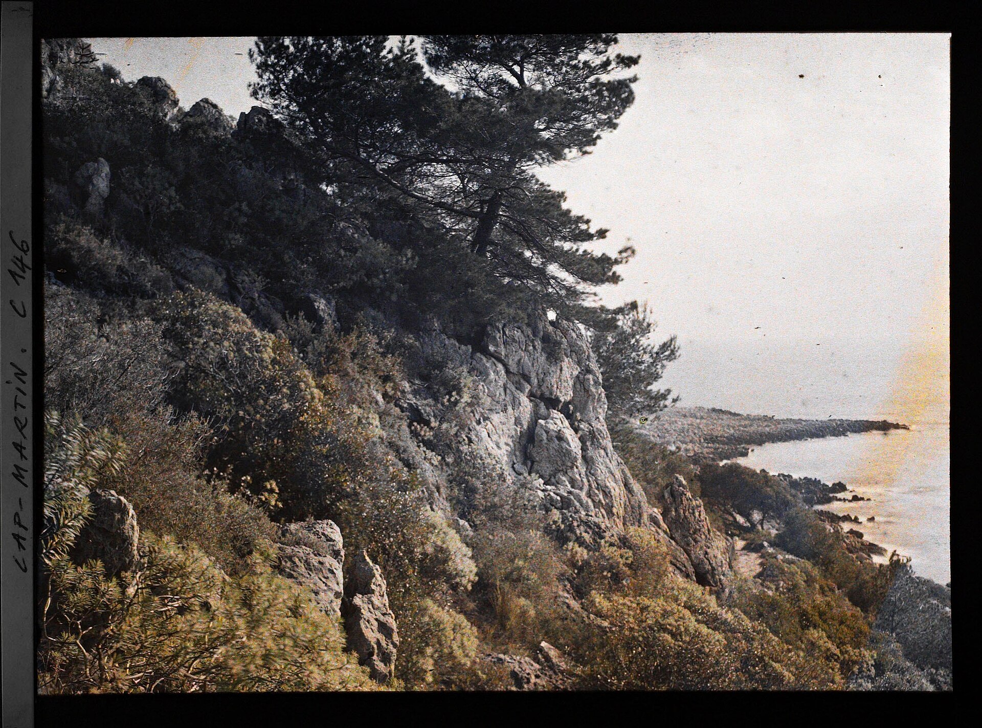 Sentier botanique du Rocher de l’Aiguille