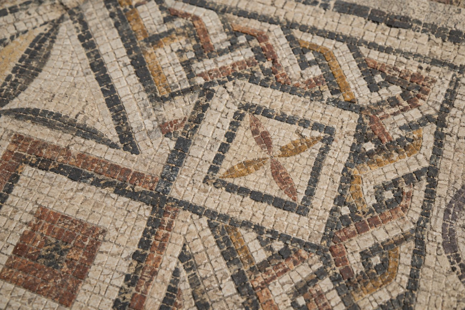 Musée de Valence – Art et Archéologie