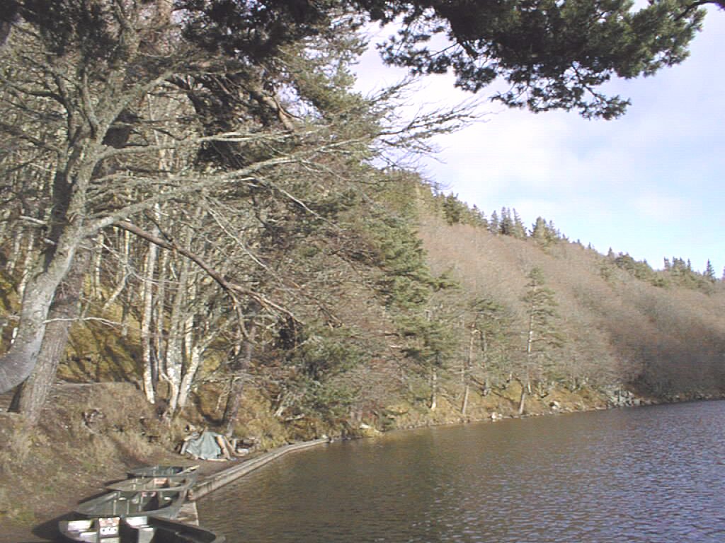 Lac Pavin