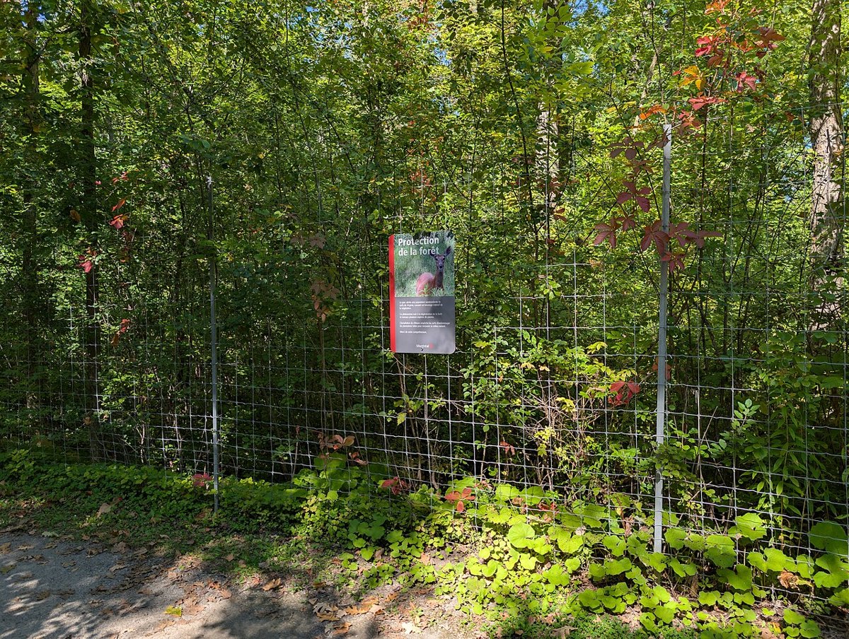 Parc-nature de la Pointe-aux-Prairies