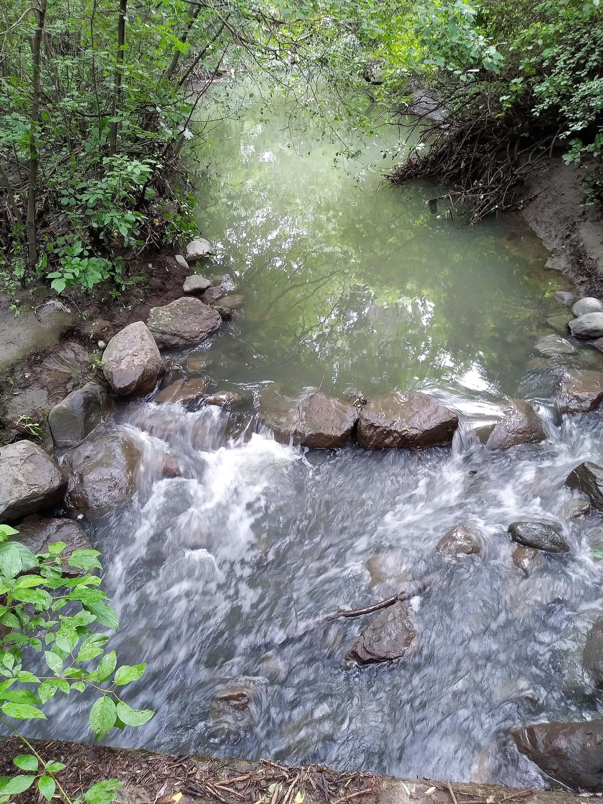 Parc-nature du Bois-de-Liesse