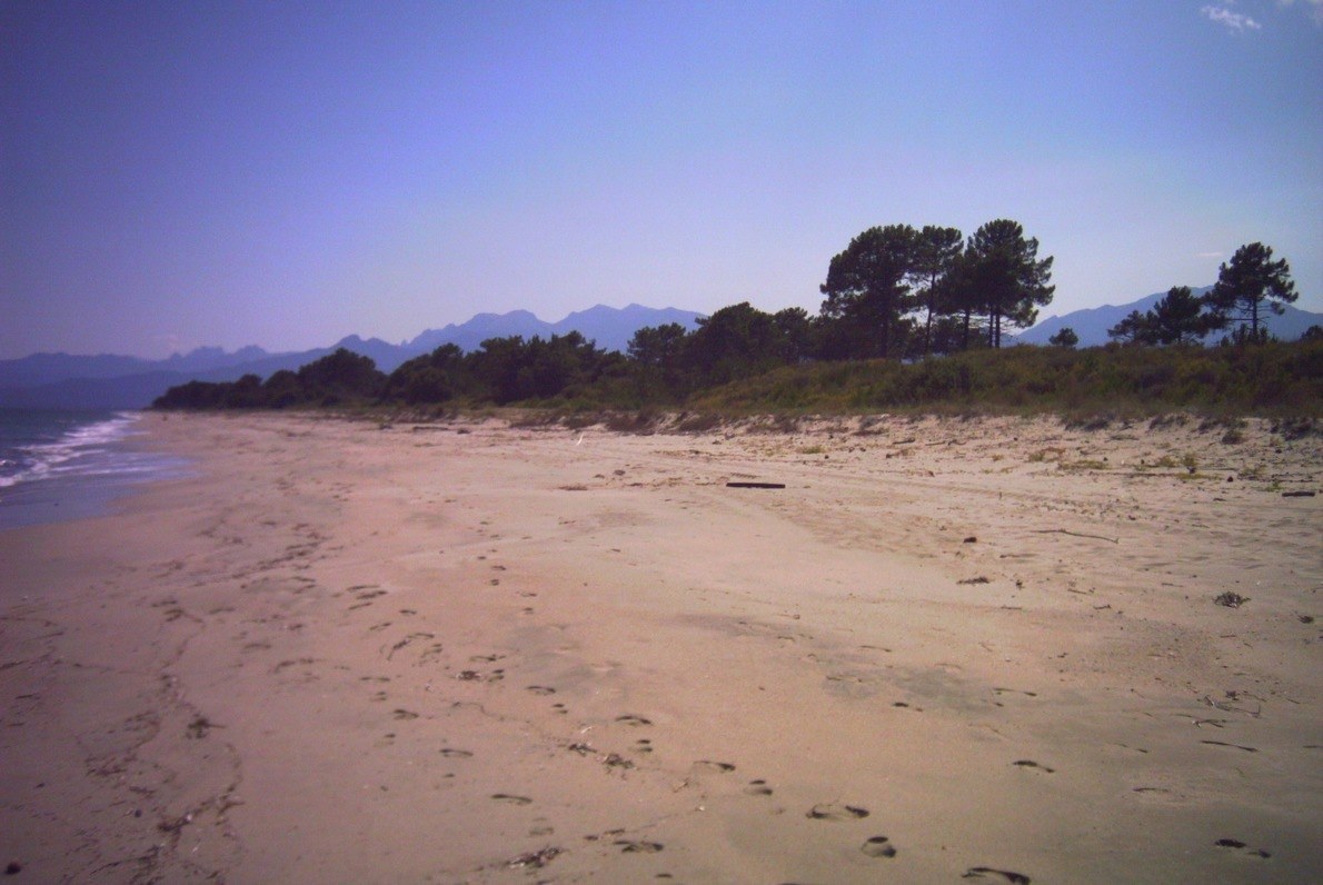 Plage de Pinia