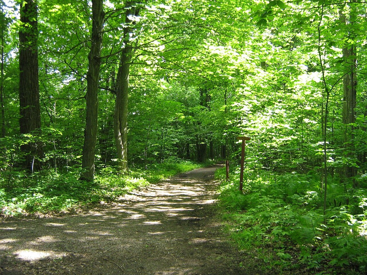 Parc national du Mont-Saint-Bruno