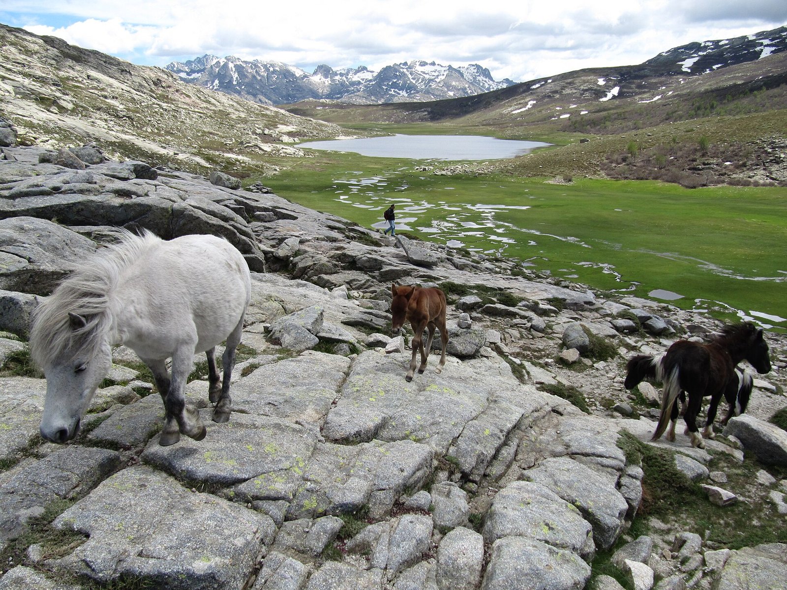 Lac de Nino
