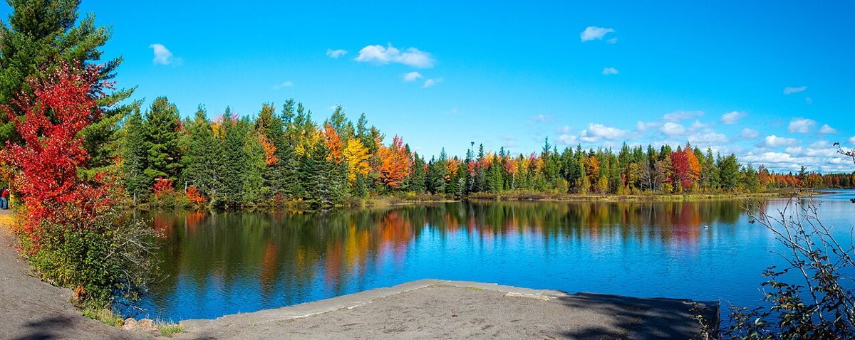 Irishtown Nature Park