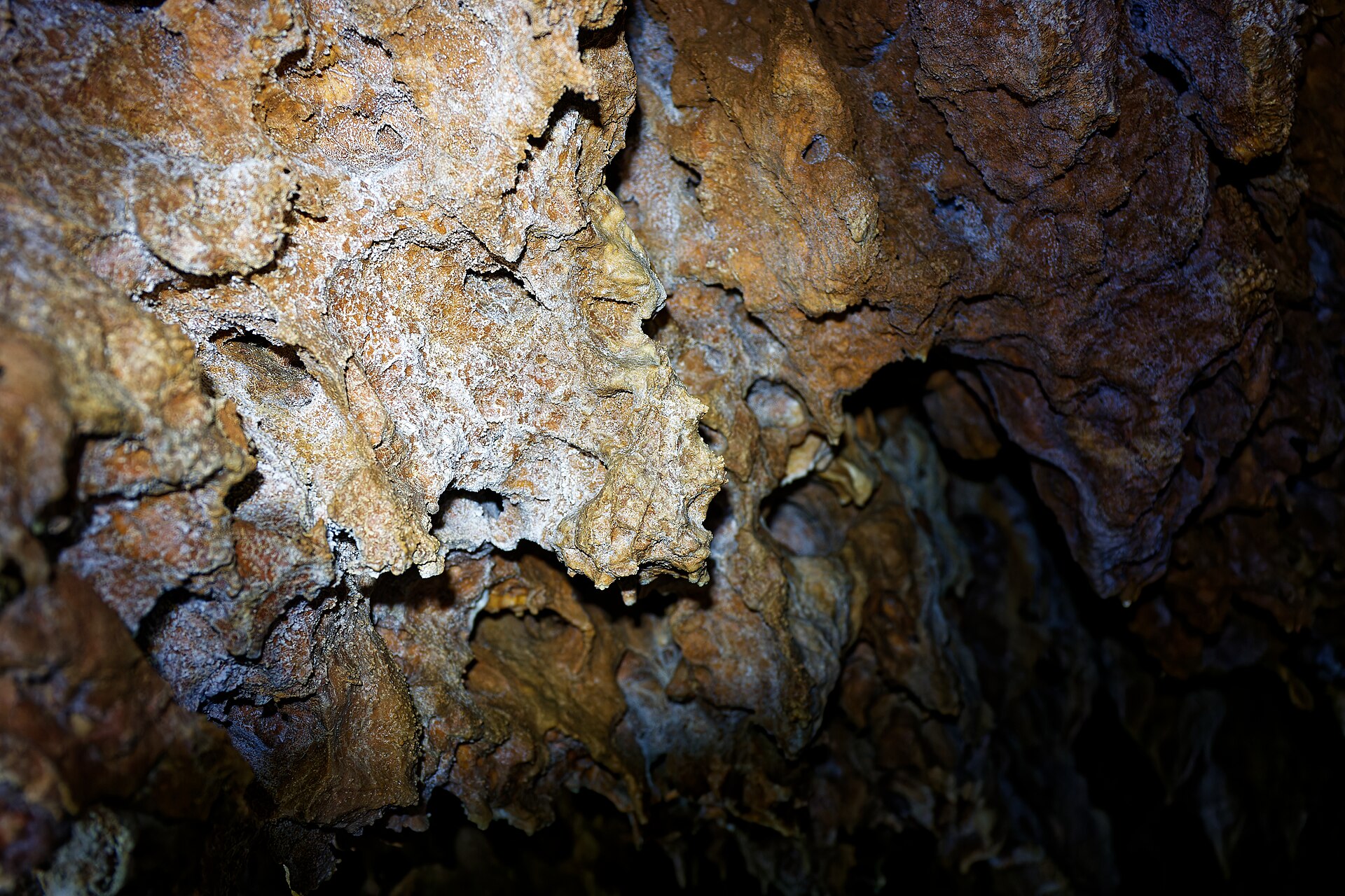 Grotte Forestière