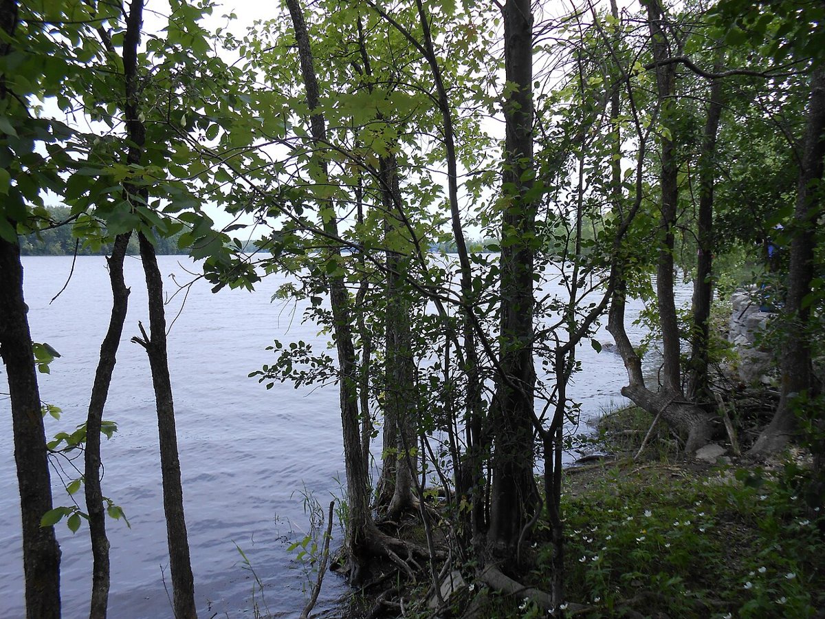 Parc de la Rivière-des-Mille-Îles