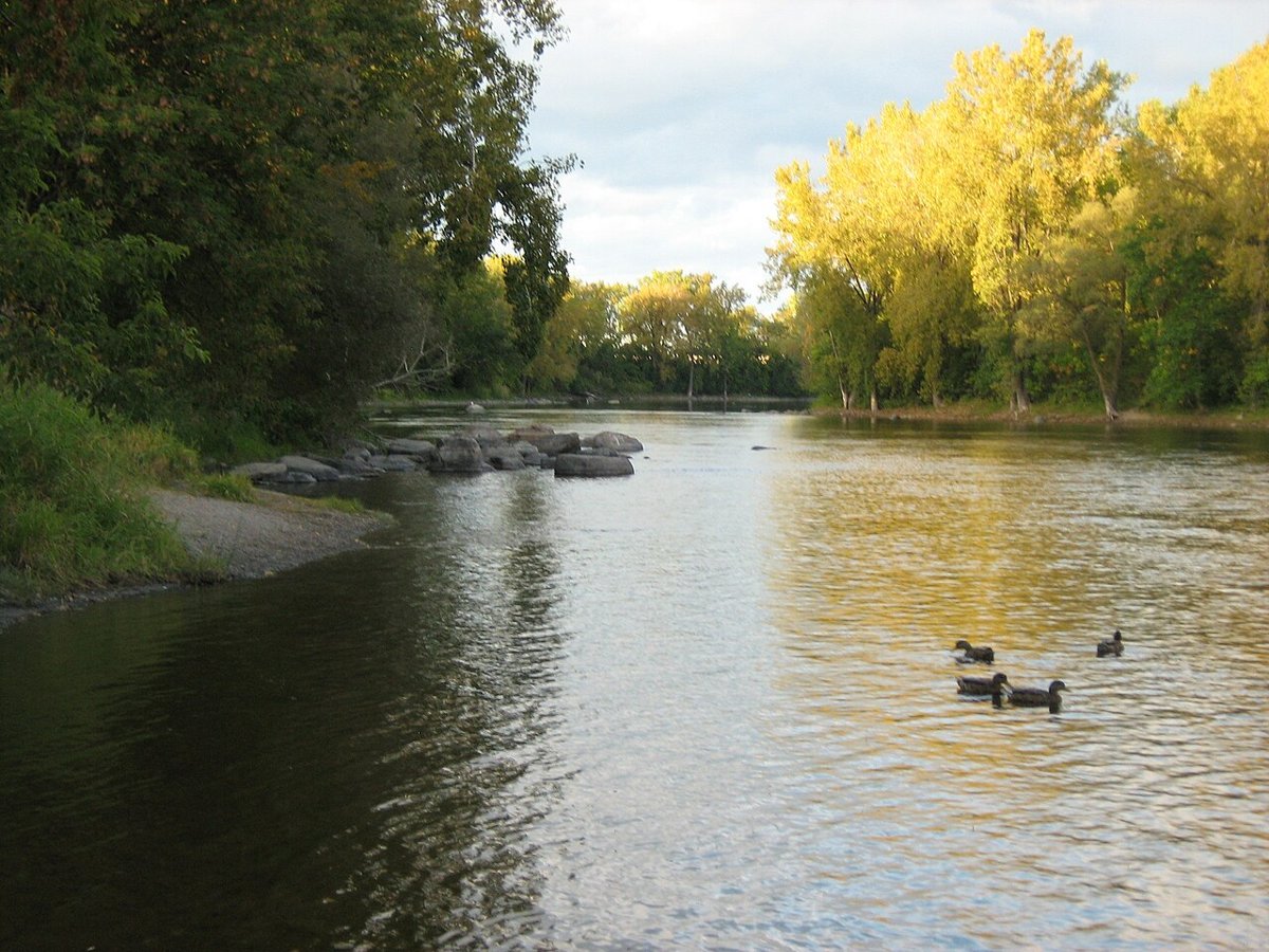 Parc-nature de l'Île-de-la-Visitation
