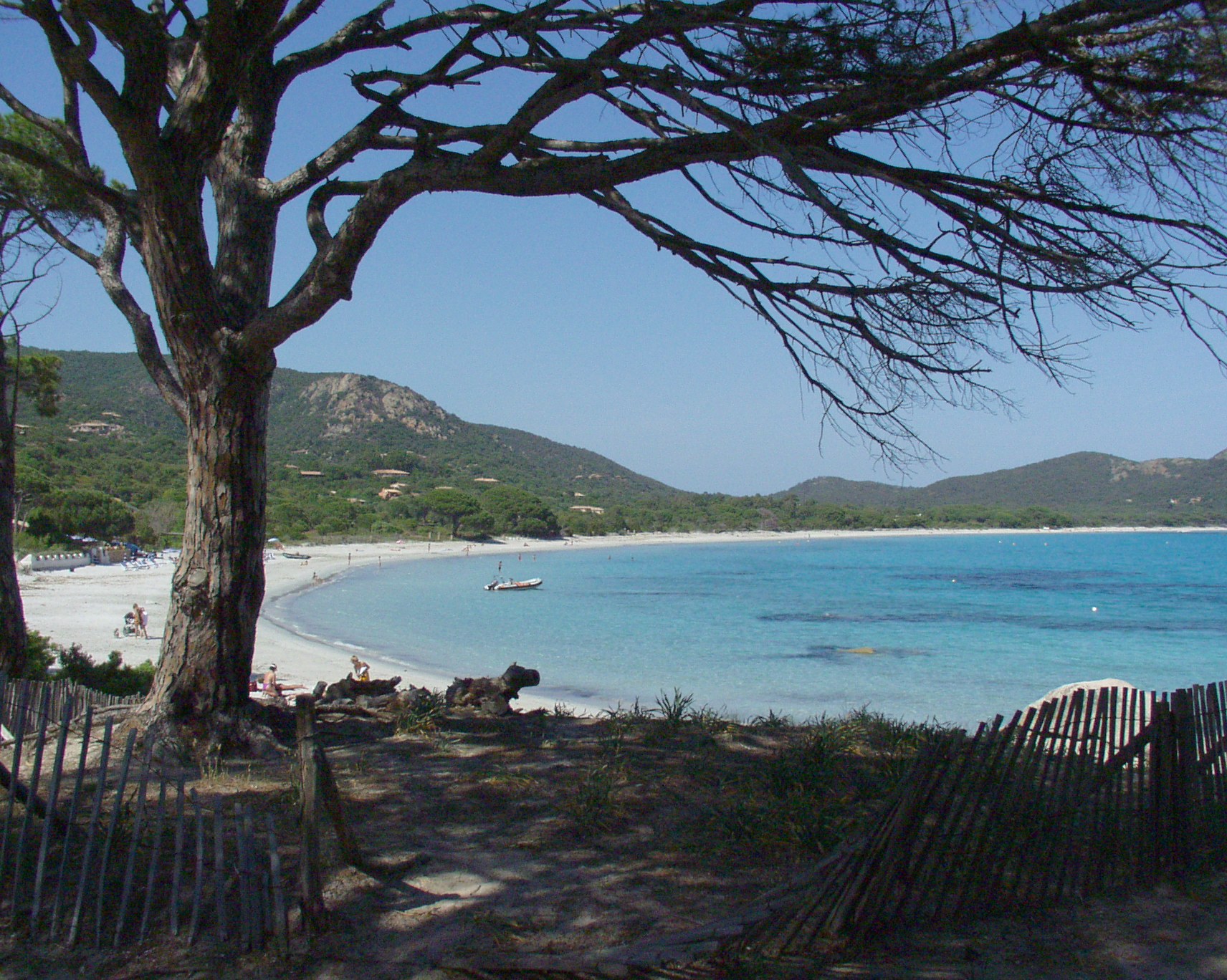 Palombaggia – I Pini