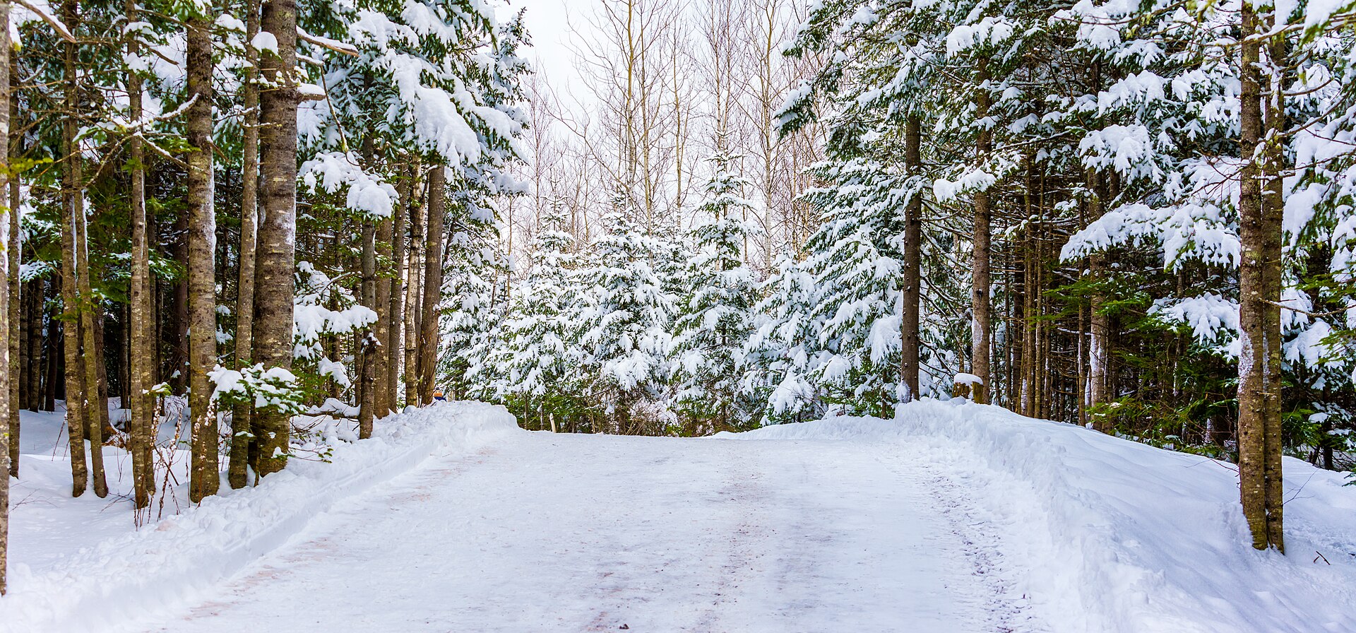 Mapleton Park