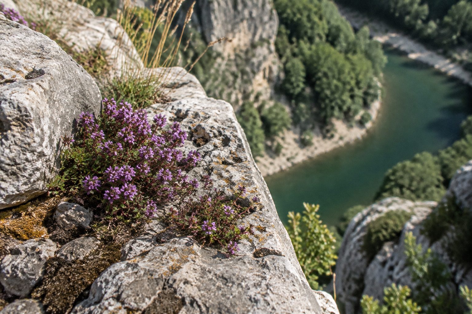 Gorges de l’Ardèche — route panoramique