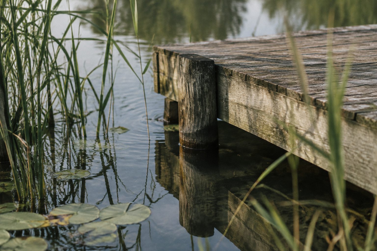 Plan d’eau de Vieure