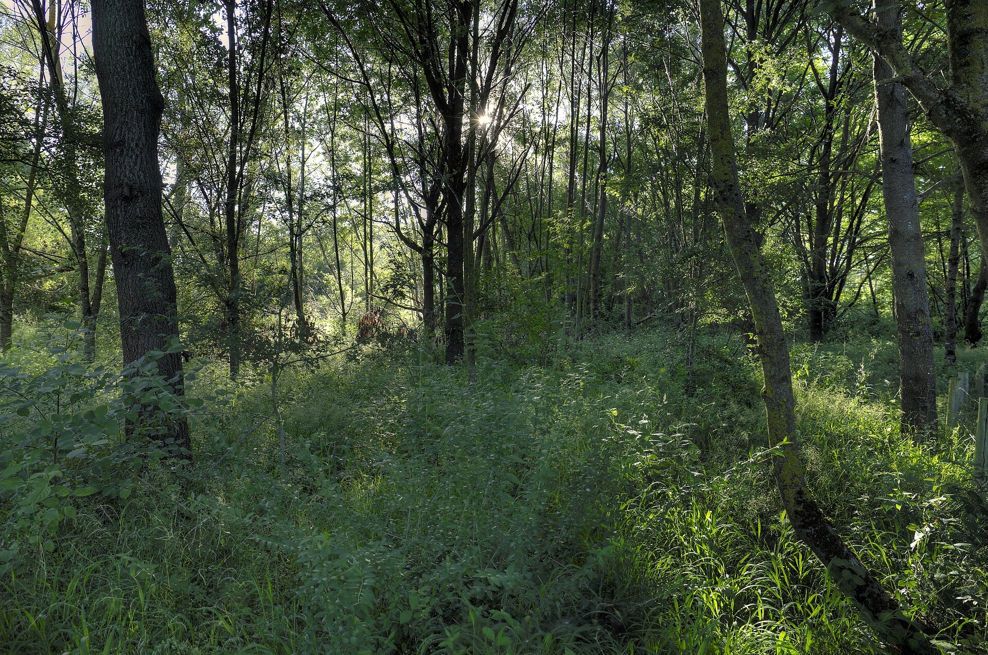 Écopôle du Forez
