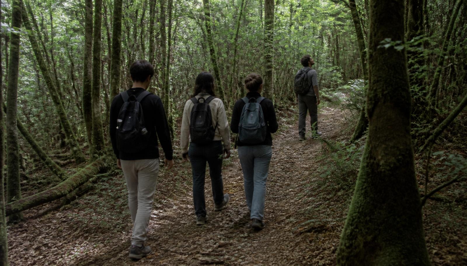 Introverti(e) ? 10 stratégies pour se faire des amis sans forcer sa nature